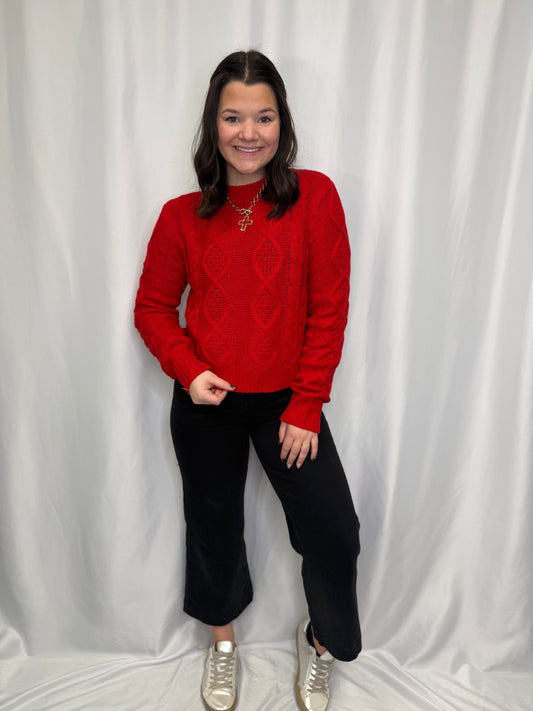 Textured Cable-knit High Neck Sweater